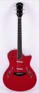 Taylor T5 Standard Metallic